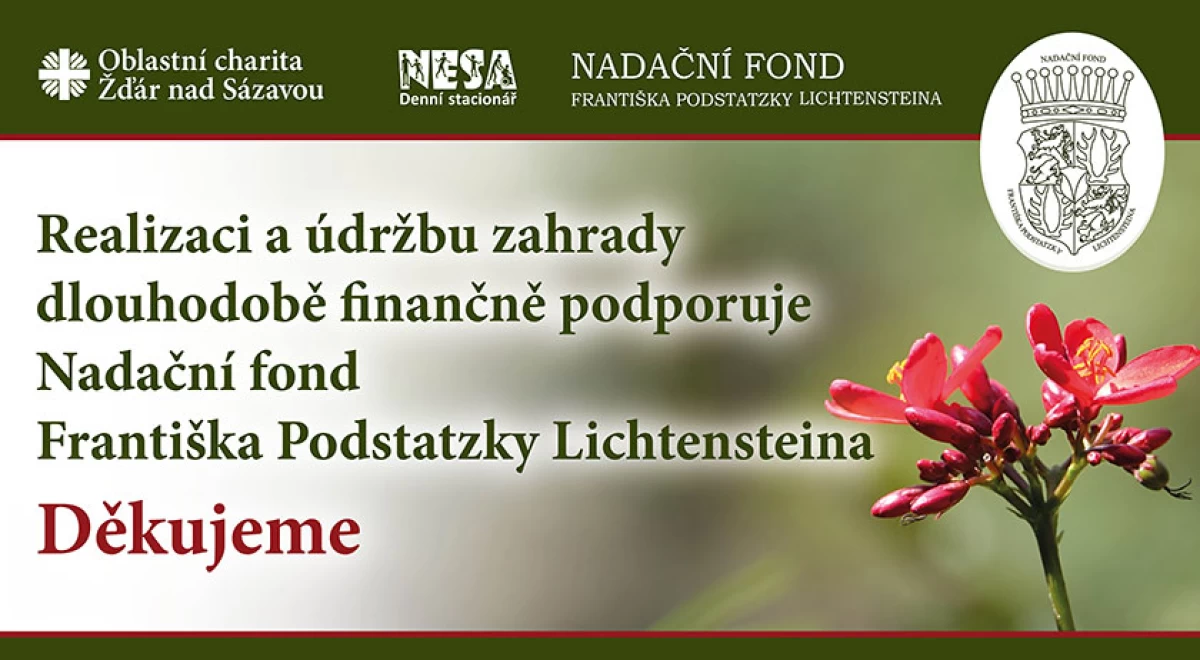 Podpora Denního stacionáře NESA