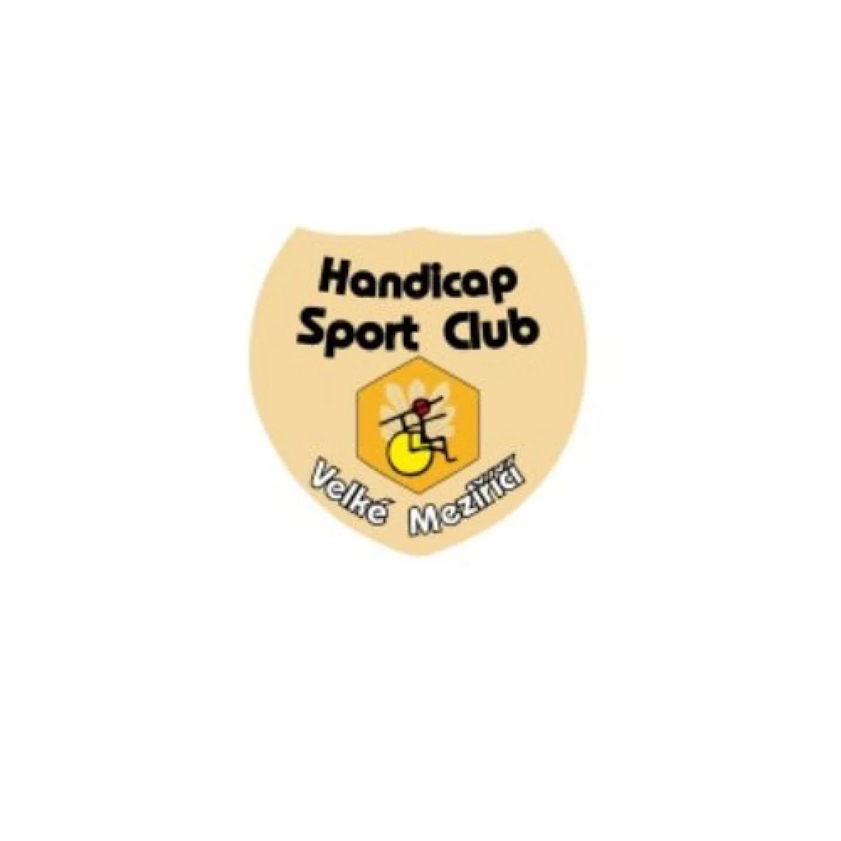 Handicap Sport Club Velké Meziříčí, z.s. děkuje Nadačnímu fondu