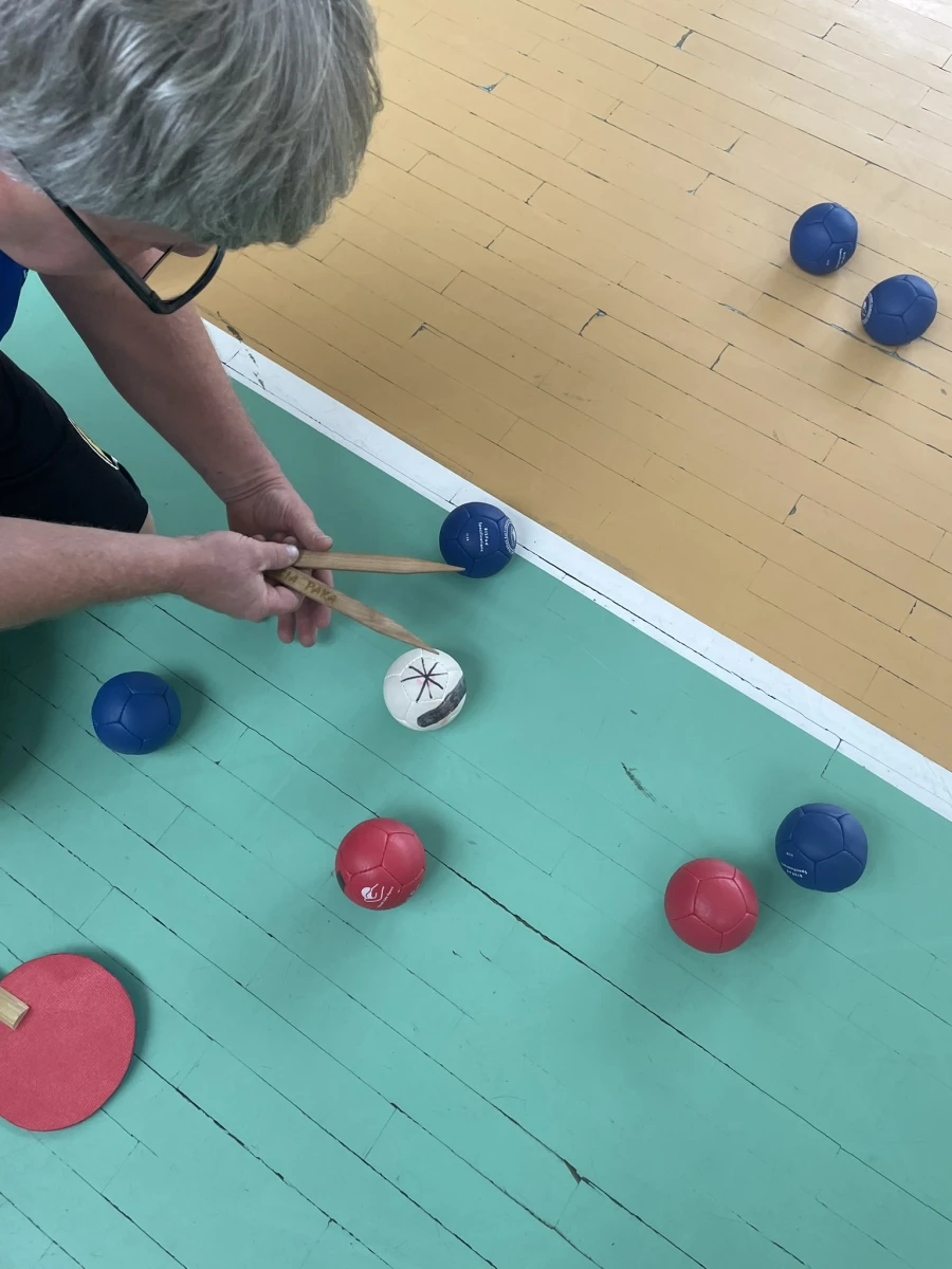 Integrované sporty Handicap Sport Clubu Velké Meziříčí