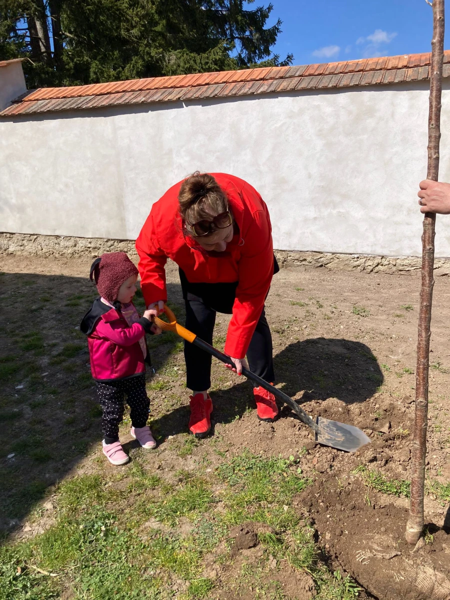 V Netíně jsme zasadili nadační strom